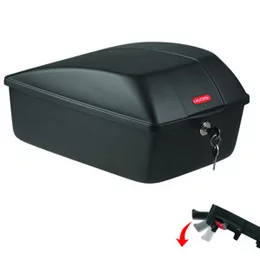 morepic-1