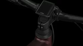 morepic-7