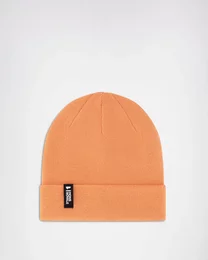 morepic-1