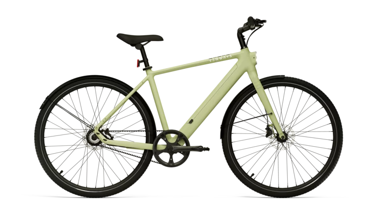 CGO600 Pro M | Unisex / hoher Einstieg | avocado-green