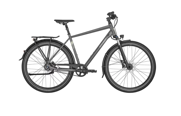 Horizon N8 Belt Amsterdam 44 cm | Easy Entry / tiefer Einstieg | shiny-dark-grey