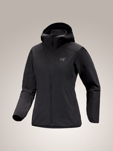 Arcteryx Gamma Lightweight Hoody