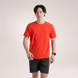morepic-2
