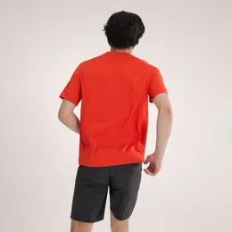 morepic-3