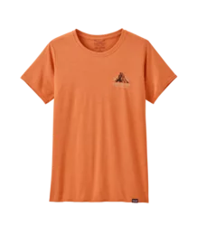 morepic-1