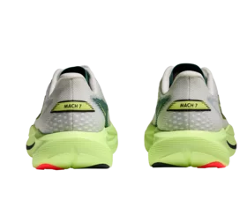 morepic-5