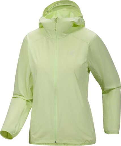 Arcteryx Gamma Lightweight Hoody